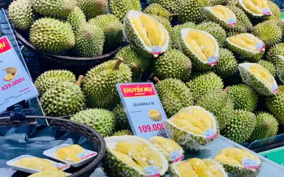 Sầu riêng: 'Vua trái cây' Việt Nam mang về hàng tỷ USD mỗi năm