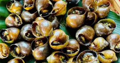 Từ con ốc quen thuộc đến mô hình nông nghiệp tuần hoàn: Câu chuyện khởi nghiệp của Nguyễn Bá Gia Luân