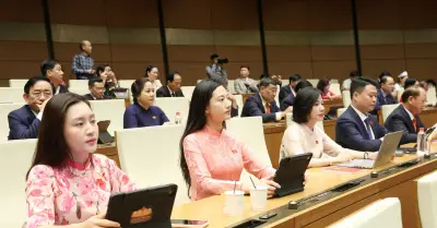 Thí điểm chế định luật sư công từ 1/10/2026 tại nhiều bộ, địa phương