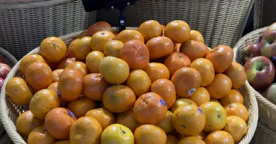 Thời điểm tốt nhất để ăn trái cây họ cam quýt