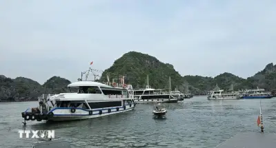 Thống nhất quy chế phối hợp quản lý tàu du lịch giữa Vịnh Hạ Long và Vịnh Lan Hạ