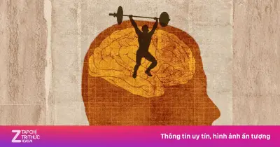 Tại sao luyện tập thể chất lại mang lại hiệu quả thần kỳ cho não bộ?