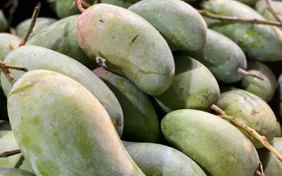 Tiểu thương bật mí cách chọn xoài ngon: Vừa giòn vừa ngọt, hạt mỏng dính