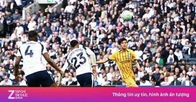 Tottenham và Brighton Hòa 2-2: Những Pha Bóng Đỉnh Cao Đáng Xem Lại