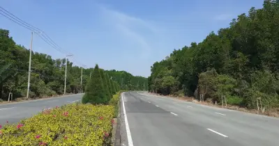 TP.HCM chấp thuận đề xuất của Vingroup nghiên cứu nâng cấp đường Rừng Sác và nối 15B