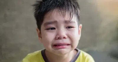 Trẻ Em 'Mục Não': Nguyên Nhân Không Chỉ Từ Điện Thoại Và Cách Phục Hồi