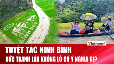 Tranh lúa 'Song mã chầu báo công' - Tuyệt tác nghệ thuật giữa cánh đồng cố đô