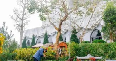 Tết Thanh Minh 2026: Ngày giờ đẹp và ý nghĩa văn hóa sâu sắc