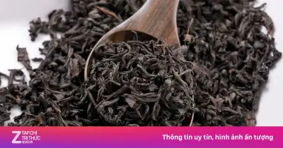 Tất tần tật về trà: Khám phá từ lịch sử đến văn hóa thưởng trà