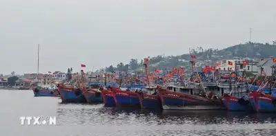 Việt Nam triển khai hệ thống truy xuất nguồn gốc thủy sản khai thác điện tử