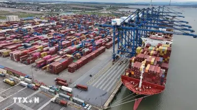 Việt Nam vươn lên thành trung tâm cung ứng năng động