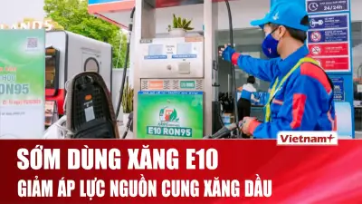 Vẫn còn vướng mắc cần tháo gỡ trước giờ G triển khai xăng E10