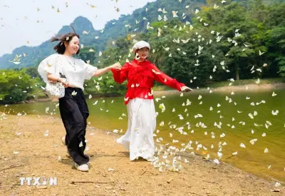 Vườn Quốc Gia Cúc Phương Rộn Ràng Đón Mùa Bướm Đến Sớm