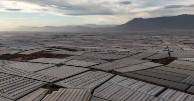 Vườn rau khổng lồ 3,5 triệu tấn ở Việt Nam có thể nhìn thấy từ không gian