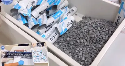 VN10: 227 bị can bị truy tố, trong đó có người mẫu An Tây, ca sĩ Chi Dân