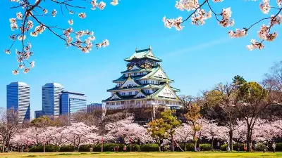 Vùng Kansai – Cái nôi văn hóa cổ điển và tinh thần năng động của Nhật Bản