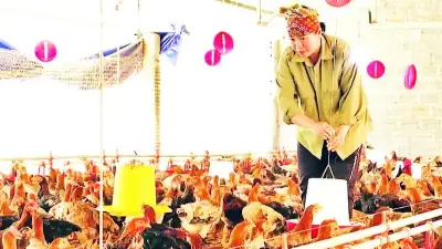 Xã Yên Minh phát triển du lịch nông nghiệp, tạo sinh kế bền vững cho người dân