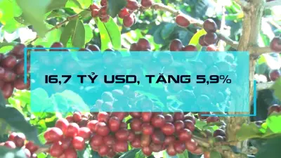 Xuất khẩu nông lâm thủy sản quý I/2026 đạt gần 16,7 tỷ USD, tăng trưởng ấn tượng