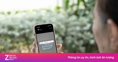 Zalo Cập Nhật Tính Năng AI Mới: Sao Chép Chữ Từ Ảnh Và Kết Nối OpenClaw