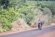 30 Quái Xe Gây Náo Loạn Trên Đoạn Đường Qua Cánh Đồng Điện Gió