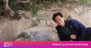 6 Rùa Mẹ Đồng Loạt Lên Bờ Đẻ Trứng Trong Một Đêm Tại Côn Đảo