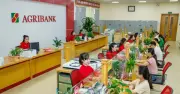 AgriNotify Cảnh Báo Tài Khoản Lừa Đảo: Hệ Thống Ngăn Chặn Hàng Nghìn Tỷ Đồng