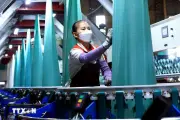 An Giang hướng tới tăng trưởng công nghiệp 13,5% trong quý 2
