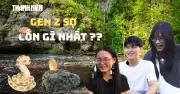 Bí Mật Gen Z: Thế Hệ Trẻ Việt Sợ Nhất Điều Gì Trong Cuộc Sống?