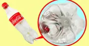 Bí ẩn đáy chai nước ngọt: Công nghệ cánh hoa thông minh tiết kiệm chi phí và đảm bảo an toàn