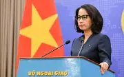 Bộ Ngoại giao Việt Nam hỗ trợ 556 công dân mắc kẹt tại Trung Đông