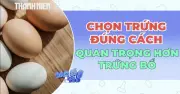 Bí quyết chọn trứng tươi ngon: Yếu tố quyết định giá trị dinh dưỡng và an toàn sức khỏe