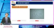 Bí quyết ôn thi THPT 2026 môn Giáo dục Kinh tế và Pháp luật: Chuyên đề Tăng trưởng và Phát triển kinh tế