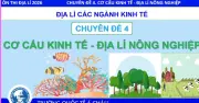 Bí quyết ôn thi tốt nghiệp THPT 2026: Chuyên đề địa lý nông nghiệp