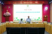 Bộ Tư pháp thẩm vấn chính sách dự án Luật Đấu giá tài sản sửa đổi