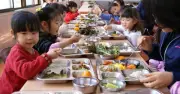 Bữa Ăn Học Đường Hàn Quốc: Thành Tựu Dinh Dưỡng Và Thách Thức Lao Động