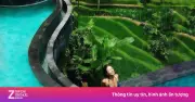 Bali Đối Mặt Thách Thức An Ninh: Loạt Vụ Tấn Công Du Khách Gây Rúng Động