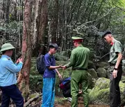Bắc Ninh: Giải cứu kịp thời hai du khách lạc trong rừng sâu Tây Yên Tử
