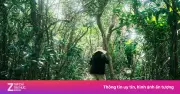 Bài học từ vụ nam sinh lạc ở Tam Đảo: Leo núi không phải trò đùa
