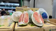 Bưởi Đồng Tháp chính thức xuất khẩu sang Australia sau 2 năm đàm phán kỹ thuật