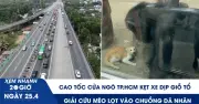 Bản tin 20h: Đèn trung tâm TP.HCM tắt sớm, cao tốc ùn tắc, mèo giải cứu khỏi chuồng dã nhân