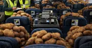 Boeing Sử Dụng Khoai Tây Thử Nghiệm Wifi, Rút Ngắn Thời Gian Kiểm Tra Từ 2 Tuần Xuống 10 Giờ