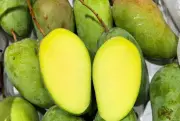 Bất ngờ công dụng chữa bệnh của vỏ xoài