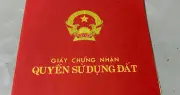 Cơ bản án vẫn phải nộp sổ đỏ gốc: Cục Quản lý đất đai phản hồi