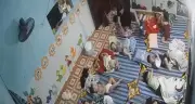 Cô giáo bạo hành trẻ ở Hưng Yên: Trường mầm non tạm dừng hoạt động