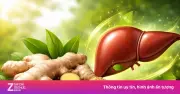 Củ Gừng - Vị Thuốc Quý Hỗ Trợ Thải Độc Và Bảo Vệ Gan Hiệu Quả