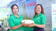 Cà Mau chuyển mình nhờ lúa hữu cơ sinh thái, giá bán cao gấp đôi