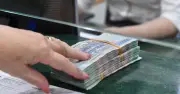 Cơ quan thuế triển khai hoàn thuế TNCN tự động trong 3 ngày làm việc