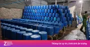 Cơ sở sản xuất hơn 500 tấn giá đỗ bằng chất độc gây chết người bị khởi tố