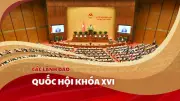 Các Lãnh Đạo Quốc Hội Khóa XVI: Thông Tin Chi Tiết Về Nhân Sự Chủ Chốt