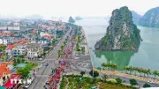 Chủ trương thành lập thành phố Quảng Ninh trực thuộc Trung ương được đề xuất
